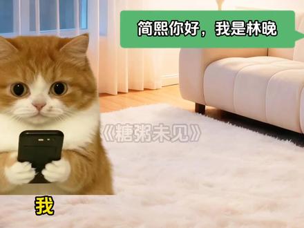 糖粥未见 第二集#猫meme#猫meme小说