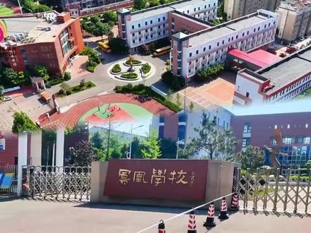 潍坊一中少年科学院凤凰分院拔尖创新人才培养基地共建活动启幕!