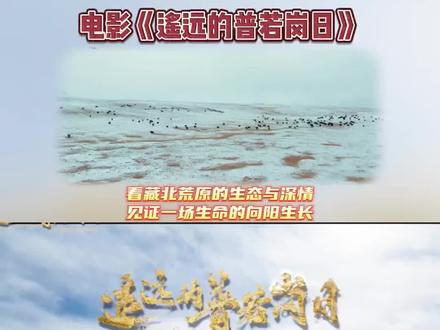 电影《遥远的普若岗日》 #遥远的普若岗日
#藏北羌塘 #冰川 #援藏 #搬迁
@抖音创作灵感 @抖音电影 @DOU+小助手 @守兔极光影票 @电影遥远的普若岗日