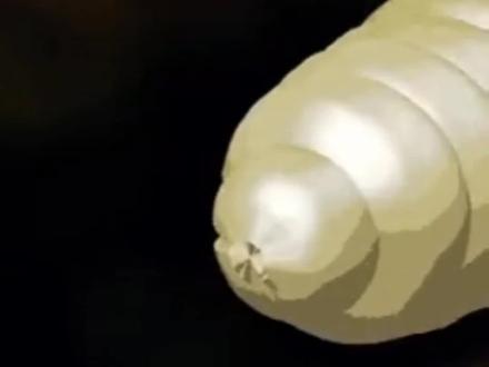爱世界 做自己