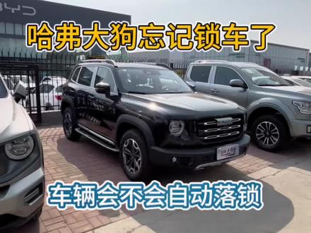 哈弗大狗忘记锁车了,能不能自动落锁?#哈弗大狗 #每天推荐好车 #每天一个用车小知识