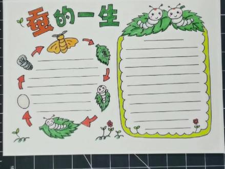 #星河知识计划 #智慧生活星 小朋友知道蚕宝宝的一生是怎样的吗,一起做一份蚕宝宝手抄报吧#蚕宝宝成长记 #手抄报模板