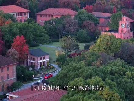 陈行甲在浙大碰到老乡 #梦幻消除战