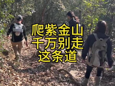 爬紫金山,千万别走这条道