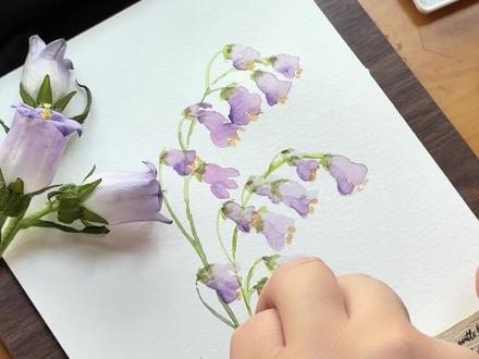 过去的总想现在已经释怀|简单水彩画谁都能试试 #2026绘画开年挑战 #画画的baby #水彩手绘 #画画使我快乐 #自学水彩