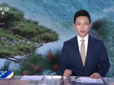 #专家辟谣迎客松金甲盛放是十年难遇奇观 【#黄山迎客松近日开花视频实为往年素材 】#粉碎谣言真相来了 这几天,黄山迎客松近日开花的消息刷屏网络,“黄山千年迎客松开花如披黄金甲”也登上热搜,画面中,迎客松针叶间布满金黄色球花,好像身披“黄金甲”。经核实,每年4月到6月,的确是黄山松的理论花期,但是今年截至目前,迎客松并未出现网传的满树金黄的开花景象。网上热传的“金甲盛放”图片和视频,实际为往年拍摄的资料素材。
据介绍,迎客松能否开出规模如此之大、颜色如此耀眼的“金甲”,取决于当年的气候、温度、树体营养等多种因素。且松树只要到了成年,基本上每年都会开花,属于常见现象。那么,迎客松开的到底是什么“花”?跟竹子开花有何区别?
