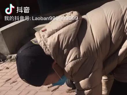 齐哥学萝卜报告陈震范对小米卡丁车测评 之三 拆解讲解篇 续2⃣️