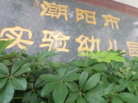 潮阳实验幼儿园办学25年来,共培养了近3万名孩子。有的家庭母子、父子都在潮实幼儿园度过童年,还有的家族十来个孩子先后入读这里。家长们的信任,源于潮实幼儿园科学先进的办园理念和细致入微的保育工作。在充满爱与自由的环境中,孩子们得以舒展枝条,茁壮成长。#潮阳实验幼儿园 点击关注@汕头橄榄台