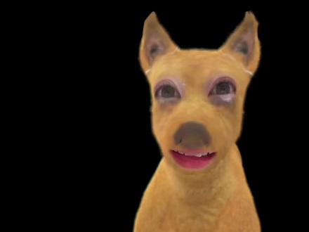 #展#轩#刘#铮#名分 就这样幸福 刘铮你个大漏勺!就爱秀恩爱!