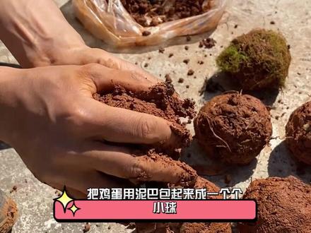 这次营地美食,居然和平时吃的熟鸡蛋不太一样,快来看看这会爆炸的鸡蛋吧!#美食 #美食做法 #创意美食 #炸蛋 #营地美食
