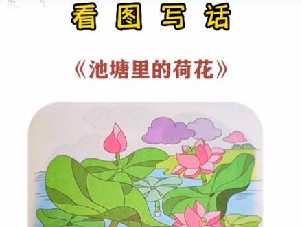 看图写话《池塘里的荷花》期末复习范文#一二年级看图写话 #看图写话 #期末复习 #看图说话 #看图写话范文