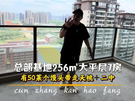 #捡漏房 业主挣扎了几个晚上,还是扛不住了,总部基地256㎡大平层可以做7房哦!还是天桃➕二中的书包房!#南宁房产 #好房风向标 #大平层豪宅 #村长看好房