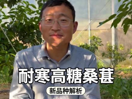 什么样的水果品种才算一个好的水果品种。
我认为一定是要好吃,这是第一。在没有特殊功能的情况下就得要好吃。香精桑葚它就有这个特点,一口下去你就忘不掉。#桑葚 #桑葚苗 #农业 #新品种 #植物