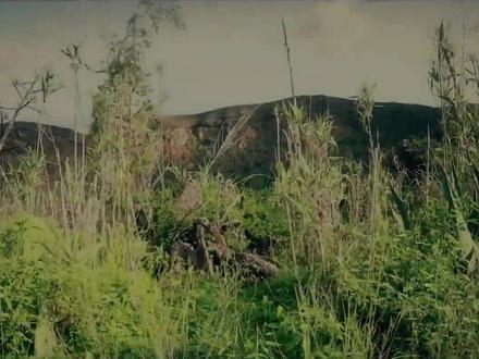 排萧大师利奥•罗哈斯Leo Rojas《Amigos》,欢快悠扬涤荡心灵!