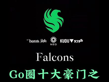 Go圈十大豪门之Falcons买人只看对,价格只买贵#cs #niko #m0nesy #falcons猎鹰 #cs