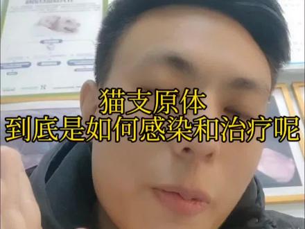 猫咪支原体感染怎么办,家人们咱们人类在病毒面前也是平等的😭#猫咪 #新手养猫#创作灵感