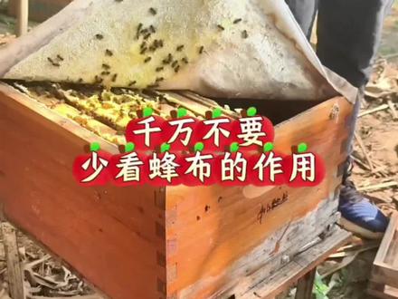便宜又好用的蜂布,不仅能给蜂群遮光,早晚温差大的时候,它还起到保温作用。#蜜蜂养殖 #养蜂 #蜂布 #蜂布保温布 #养蜂日记