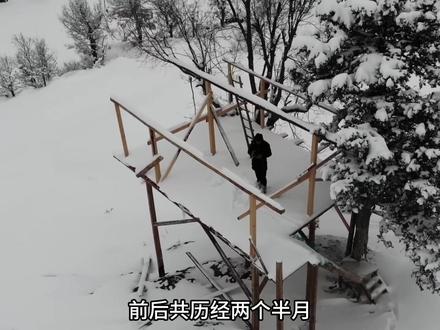 男人历经两个半月,在深山里建造豪华树屋。 #荒野建造 #庇护所建造 #木屋建造 #解压 #助眠