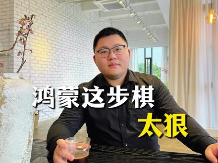 鸿蒙这步棋太狠 #问界M6 #新锐王牌问界M6七色亮相 #鸿蒙智行