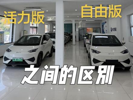 比亚迪海鸥高低配区别 #比亚迪海鸥
海鸥的活力版跟自由版差9000块钱都差在哪里