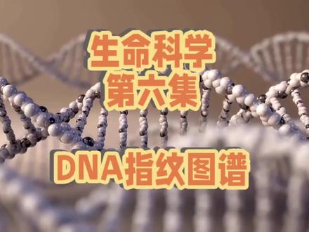 生命科学第六集:DNA指纹图谱
#上热门 #科学