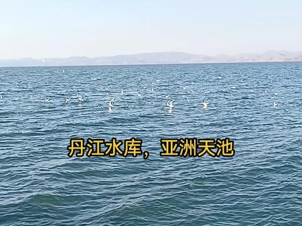 南水北调中线源头丹江水库,#水利工程 #宣传家乡旅游文化 #丹江