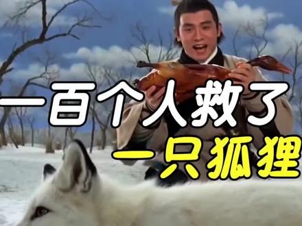 100个人在雪山救了一只狐狸... #AI创想家计划 #马年贺岁看AI #邵氏 #酱板鸭#狐狸