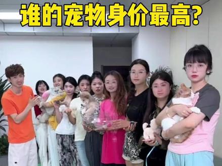 到底谁的宠物身价最高呢? #欢乐办公室 #原来可以这样玩 #