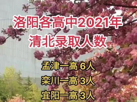 洛阳名校清北录取人数,看看有你母校吗?#高考加油站 #清北 #高考倒计时