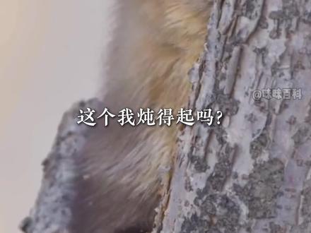 这些动物有你认识的吗?