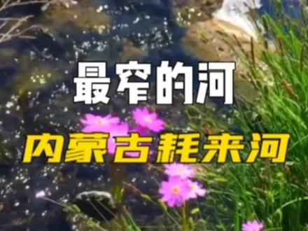 放一本书可以当“桥”的河#旅行推荐官 #抖音旅游 #旅游大玩家