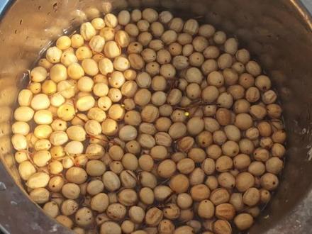 有没有喜欢苦楝子手串的?#苦楝子 #苦楝子手串 #传统工艺手工制作 #文玩手串 #小众文玩