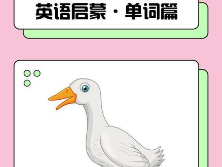每天学习一个单词:quack.#少儿英语 #学英语 #英语启蒙 #宝宝启蒙