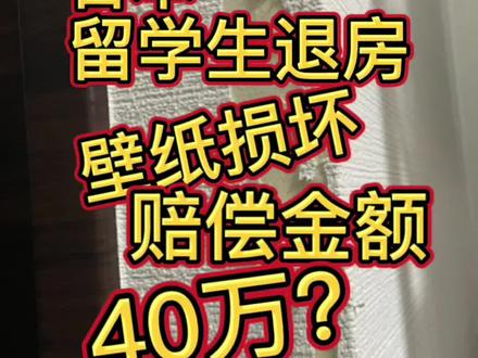 在日本,壁纸损坏
退房的时候,赔付高达40万
你们都赔多少?
#日本生活 #vlog日常 #带你了解最真实的日本 #内容过于真实 #日本留学