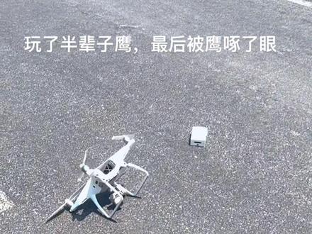 玩了半辈子鹰,最后被鹰啄了眼,人生无常,大肠包小肠🤓……#天上飞的是什么 #超级增程让梦想狂飙 #无人机 #炸机小王子 #精彩片段
