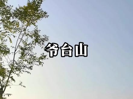 《爷台山》
爷台山是淳化人风骨的见证,是我们的精神家园。是红色热土走出绿色的梦幻。
时值盛夏,草木峥嵘,树绿山青,鸟语花香,空气清新。拾阶而上,环顾四周感“残阳如血,苍山如海”。
站在爷台山上放眼松涛阵阵、槐荫森森,犹如雄兵百万。耳听山风呼啸,好像交战枪炮之声。手扶斑驳的亭柱,感岁月流失,沧海桑田。
纵目远眺满眼绿,荡气回胸热土地。仿佛回到1945年爷台山自卫反击战,打响解放战争第一枪,红色的旗帜一路前行,从胜利走向胜利。又仿佛看见1973年,爷台山植树造林誓师大会,老书记李德馨铿锵有力的话语“要将荒山荒坡用树填满, 要让淳化成为绿色的海洋”。如今一切如您所愿,“黄土高原上绿色明珠”如同夜空中明星一样闪耀璀璨。
山不在高,有史则名。山不在秀。苍翠葱茏。爷台山是渭北高原一座普通的山,正是由于有先烈热血的浸染才名满华夏;正是有淳化几代人植树造林,绿化家园矢志不渝的决心,才是换来绿满人间,名满天下。
壮哉,爷台山,沧海横流,方显英雄本色,饱经战火,历经磨难才见其巍峨。伟哉,爷台山,绿荫背后是多少战天斗地的壮歌。多少汗水付出才换来梦幻的绿色。
爷台山,信步你绿色的海洋,仰望你顶天的脊梁。只有置身其中才能感受你的万丈光芒。