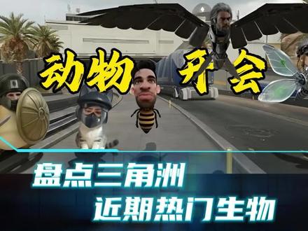 三角洲动物园 #我在三角洲做鼠鼠 #三角洲行动#我要成为三角洲高手#三角洲s8蝶变时刻新赛季#假期结束接着洲