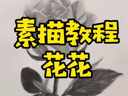 画束玫瑰,手有余香,好看的素描玫瑰教程来喽#素描 #来支铅笔素描系列教程 @DOU+小助手