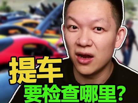 提车时,销售最怕你检查哪些细节?#提车提车 @抖音汽车 @抖音小助手