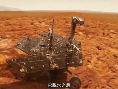 黏菌的智慧 黏菌究竟有多智慧?你了解吗?看完视频你想到了什么?#黏菌的智慧 #科普 #涨知识 #科学 #生活知识科普