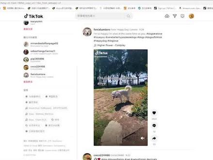 TK pc端安装视频来了