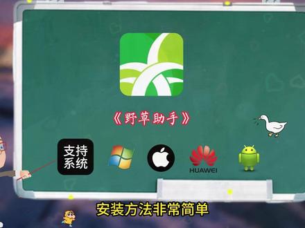 《白纸资源》#免费分享 #野草助手 #电视 #野草助手分享码 #免费软件分享