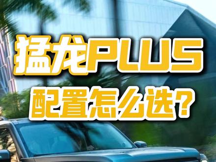 长城猛龙PLUS值得买吗? 猛龙PLUS买哪个配置性价比最高?相比猛龙怎么选?#猛龙PLUS #哈弗猛龙