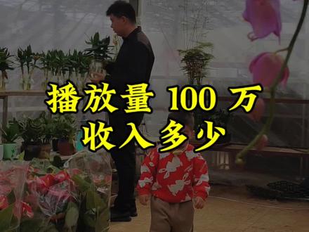 播放量一百万,收入多少#自媒体创业 #宝妈日常vlog