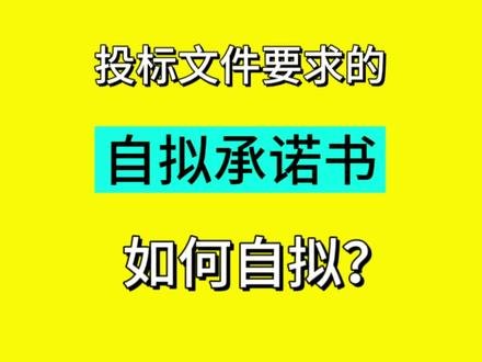 制作投标文件小技巧,一分钟教会你自拟承诺书#dou上热门 #制作标书 #干货分享 #承诺书