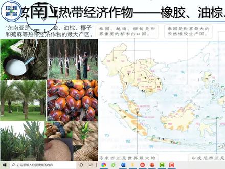 5、东南亚热带经济作物——天然橡胶、椰子、蕉麻、油棕