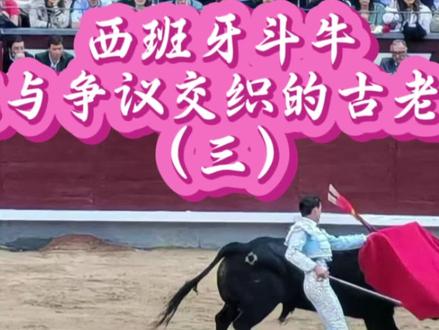 西班牙斗牛传统与争议交织的古老仪式(三)#