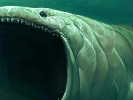 真实存在的巨兽,大白鲨当食物,10头大象也干不过(2)