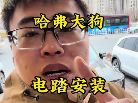 哈弗大狗安装电动踏板 #哈弗大狗