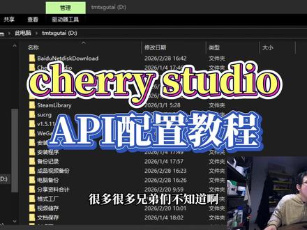 cherry studio API配置教程 #网文作者 #AI智能体